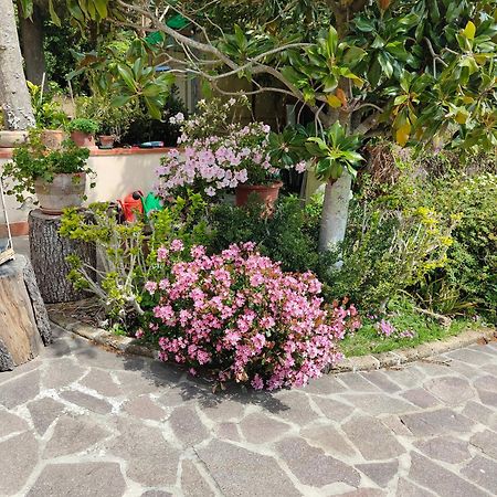 Apartamento il Diacciarello Gabbro Exterior foto